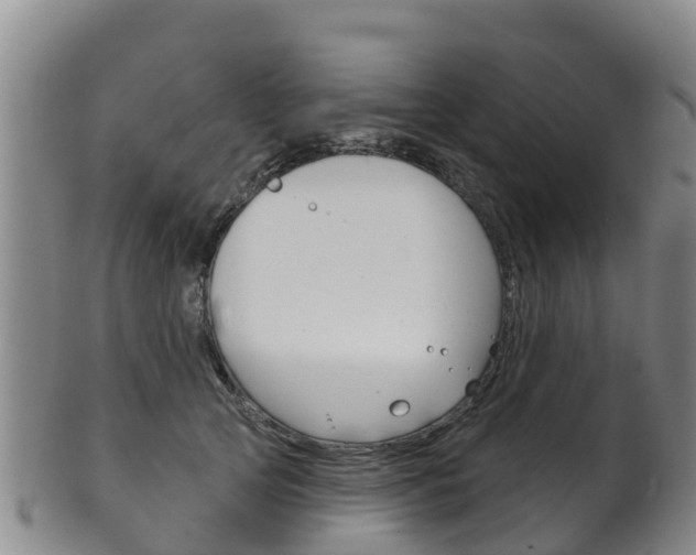 X0000102530753200808081052