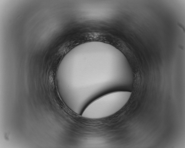 X0000102530754200808081052