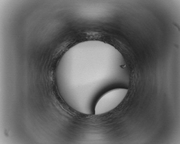 X0000102530756200808081052