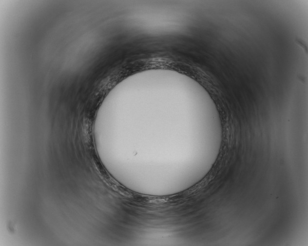 X0000102530757200808081052