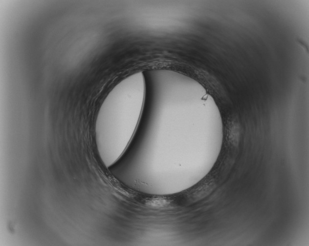 X0000102530759200808081052