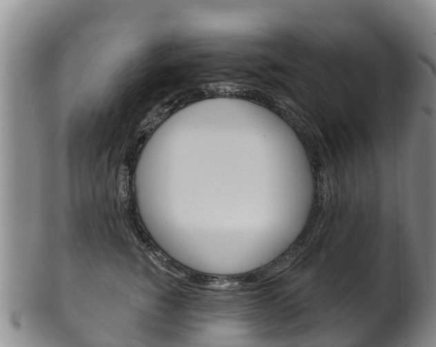 X0000102530760200808081052