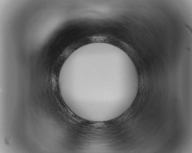 X0000102530761200808081052