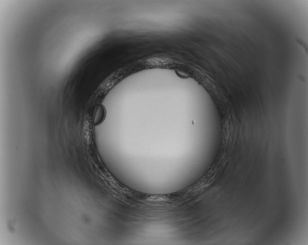 X0000102530762200808081052