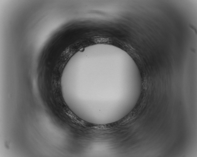 X0000102530763200808081052