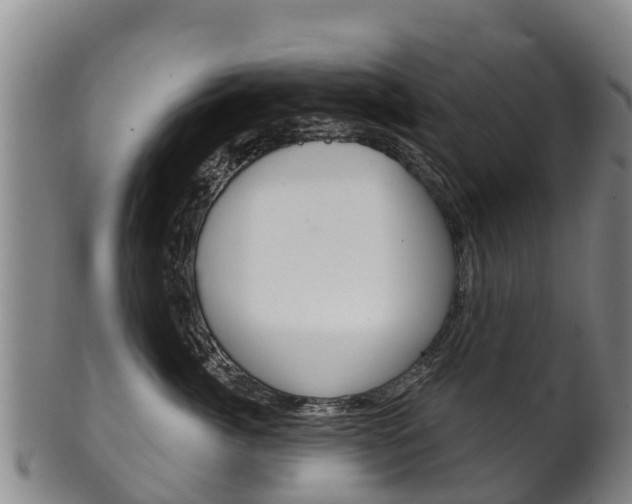 X0000102530764200808081052