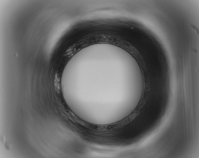 X0000102530766200808081052