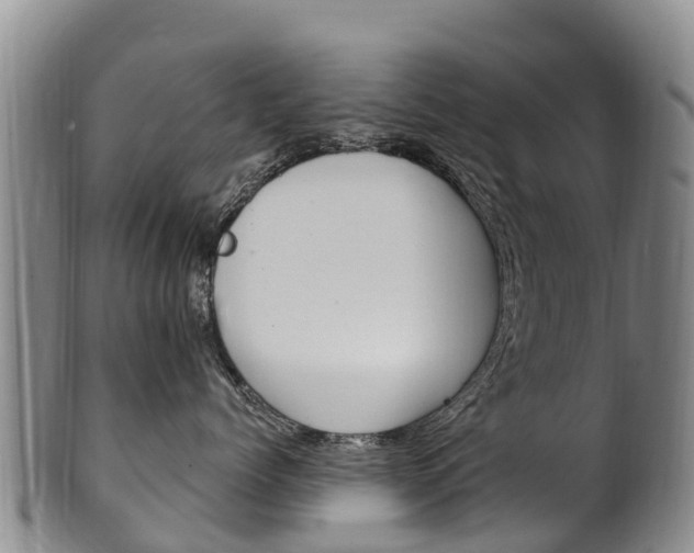 X0000102530768200808081052