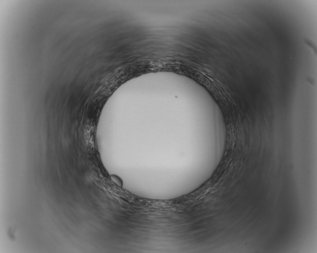 X0000102530770200808081051