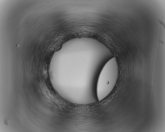 X0000102530771200808081051
