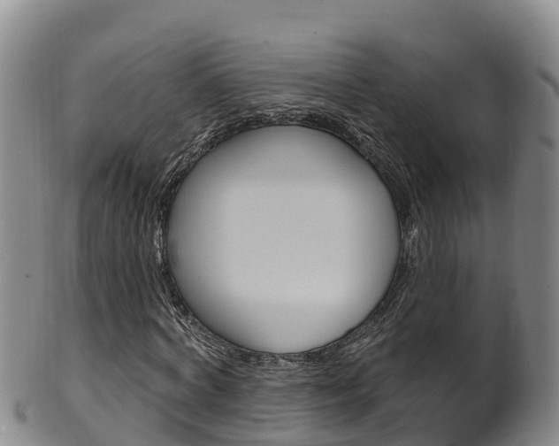 X0000102530772200808081051