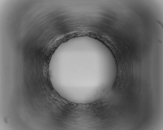 X0000102530773200808081051