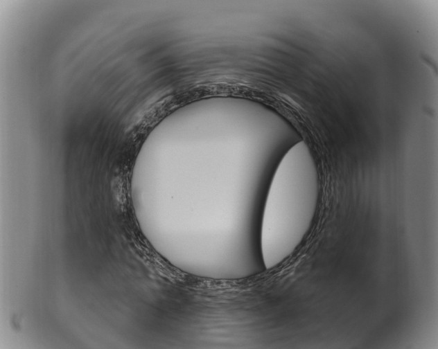 X0000102530774200808081051