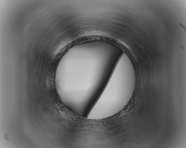 X0000102530775200808081051