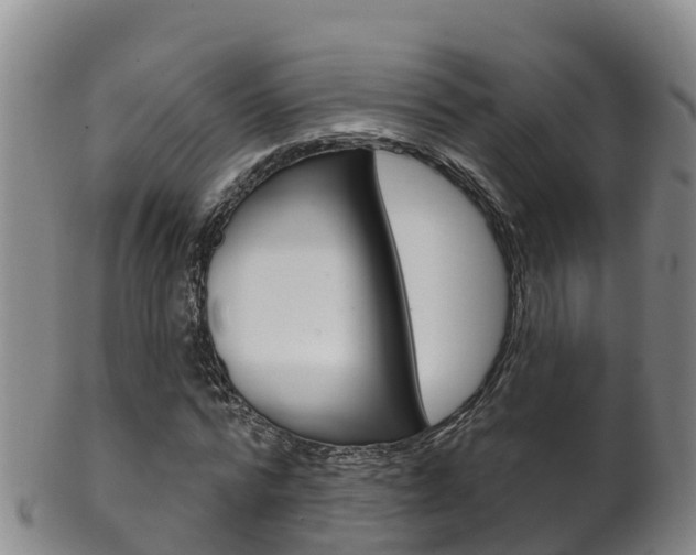 X0000102530776200808081051