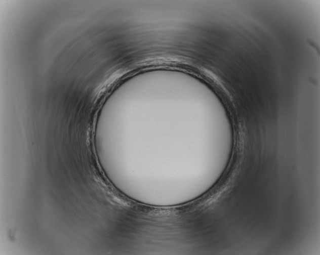 X0000102530778200808081051
