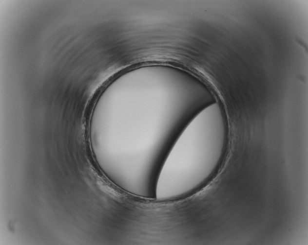 X0000102530779200808081051