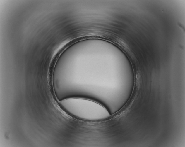 X0000102530780200808081051