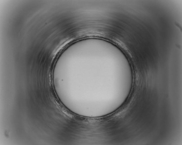 X0000102530782200808081051
