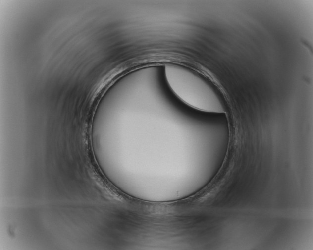 X0000102530786200808081051