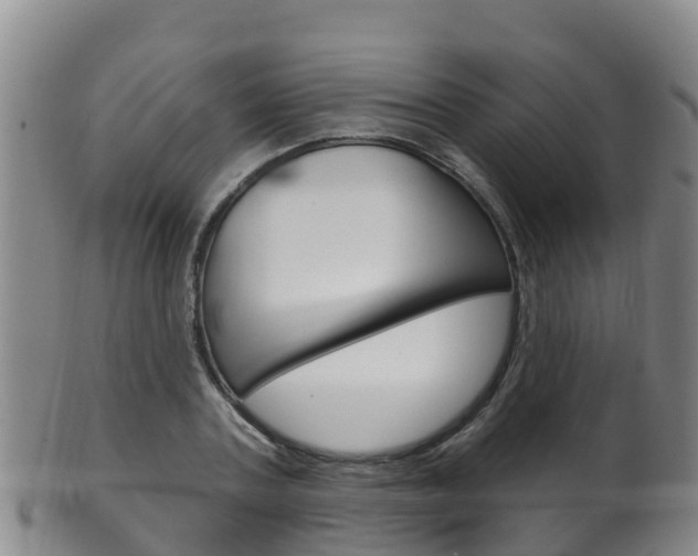 X0000102530787200808081051