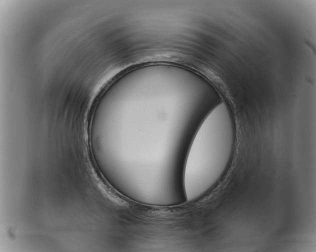 X0000102530792200808081051
