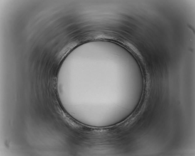 X0000102530793200808081051