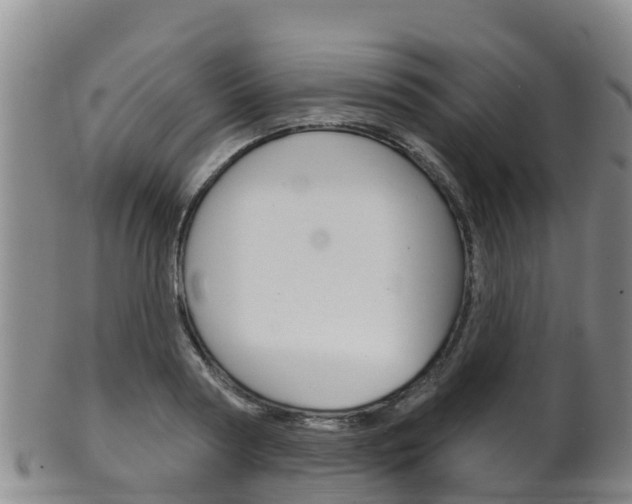 X0000102530794200808081051