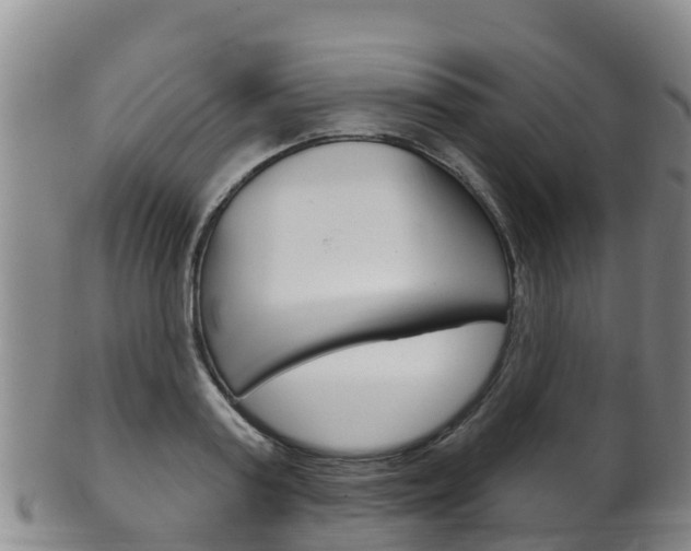 X0000102530795200808081051