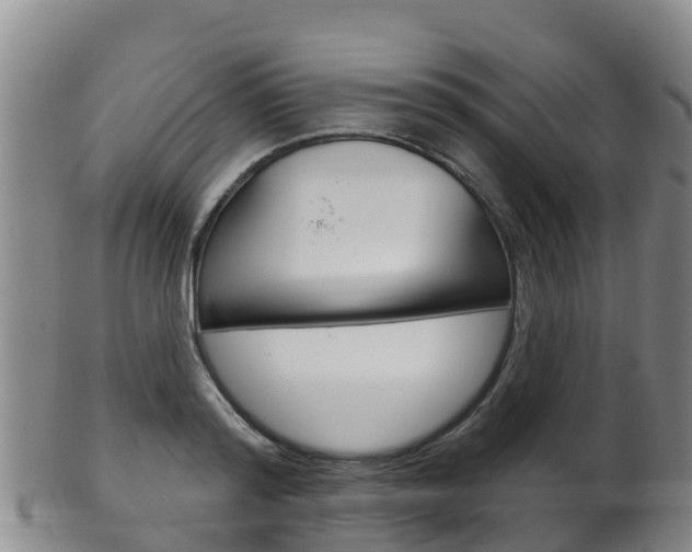 X0000102530796200808081051