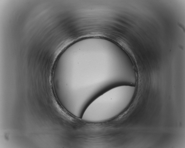 X0000102530797200808081051