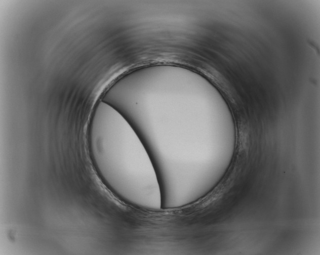 X0000102530798200808081051