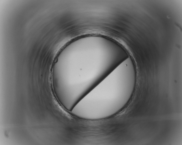 X0000102530799200808081051