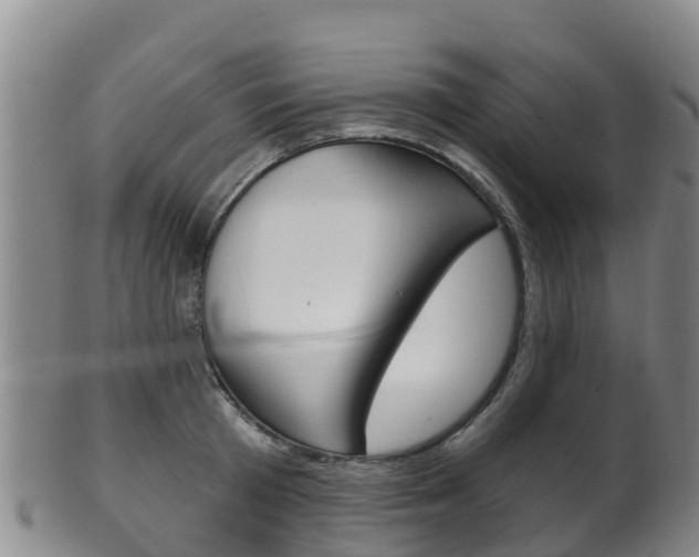 X0000102530801200808081051