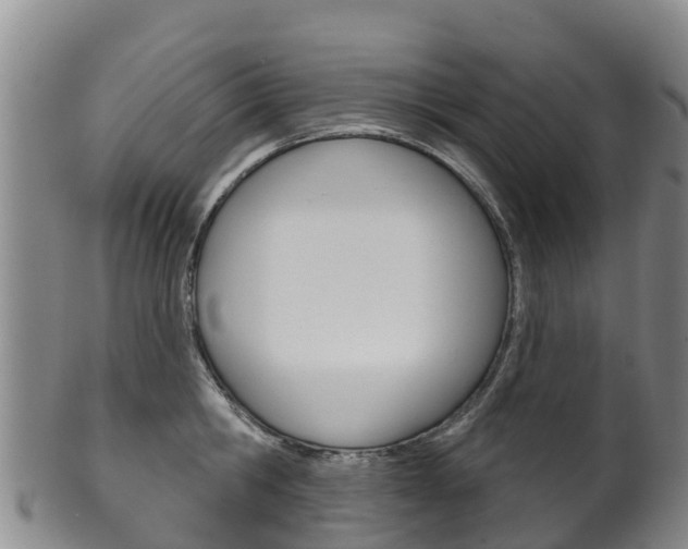 X0000102530806200808081051