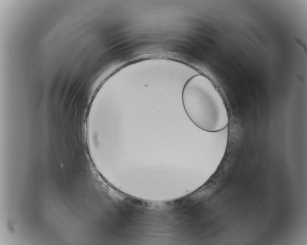 X0000102530807200808081051