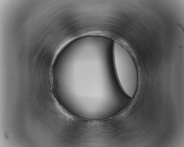 X0000102530808200808081051