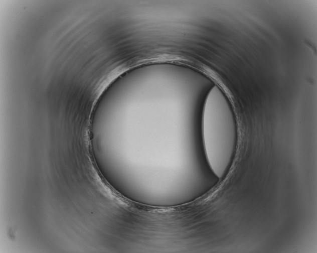 X0000102530810200808081051