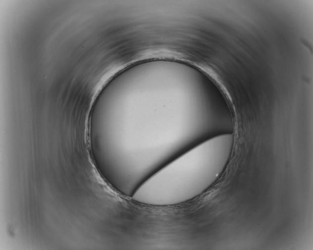 X0000102530815200808081051
