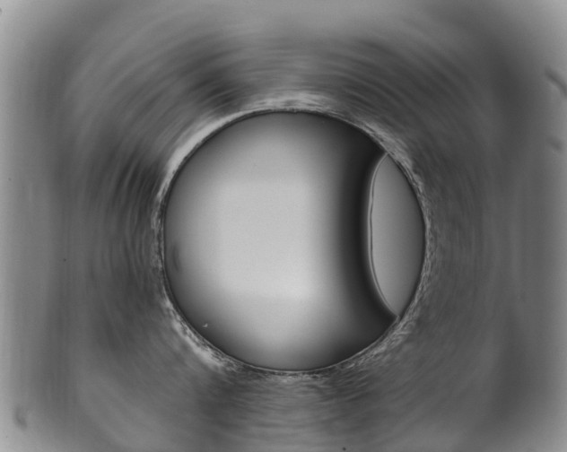 X0000102530816200808081051