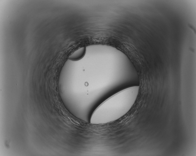 X0000102530817200808081050