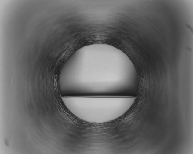 X0000102530818200808081050