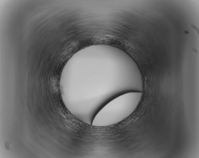 X0000102530819200808081050