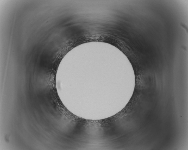 X0000102530820200808081050