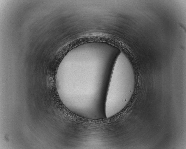 X0000102530821200808081050