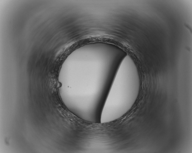 X0000102530822200808081050