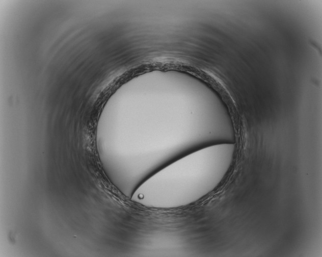 X0000102530823200808081050