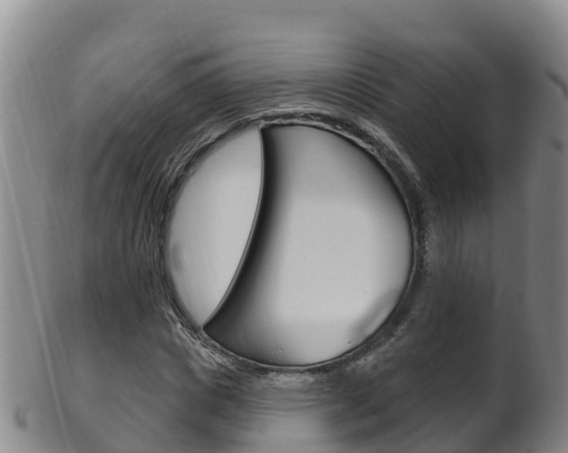 X0000102530825200808081050