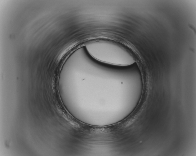 X0000102530826200808081050