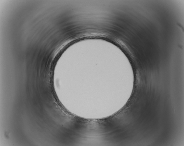 X0000102530828200808081050